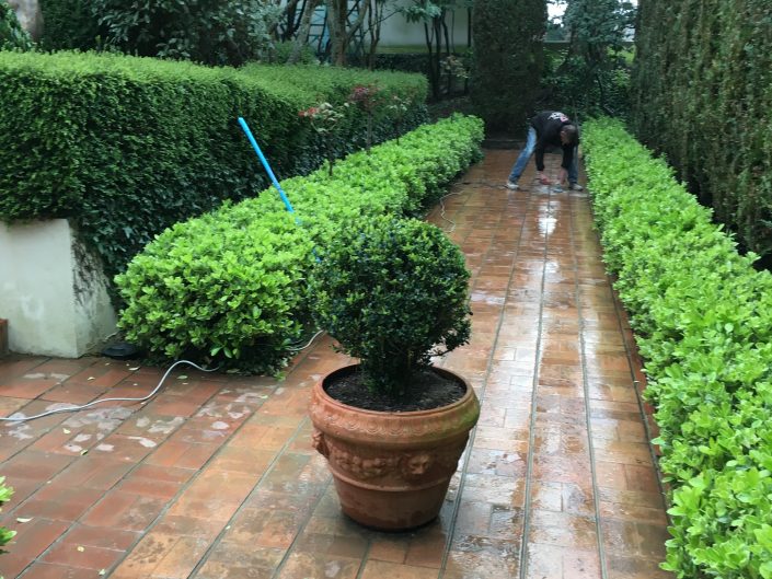 Nettoyage en cours d'allée de jardin Rennes Tendance-marbre.fr